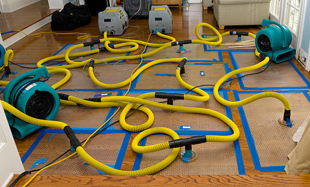 Professional Burst Pipe Water Damage technician working in Harbor Beach, MI