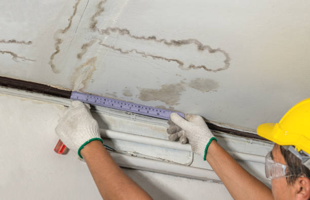 Affordable Water Damage Repair solutions in Harbor Beach, MI